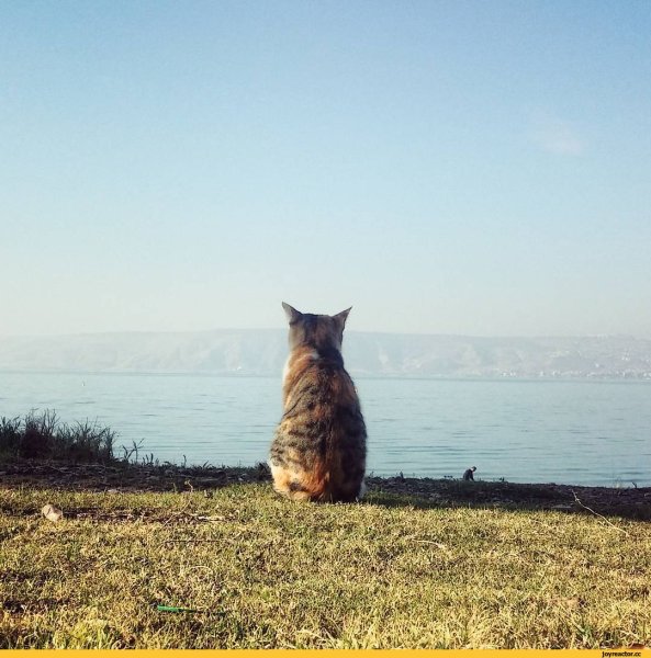 Теперь ждем лето