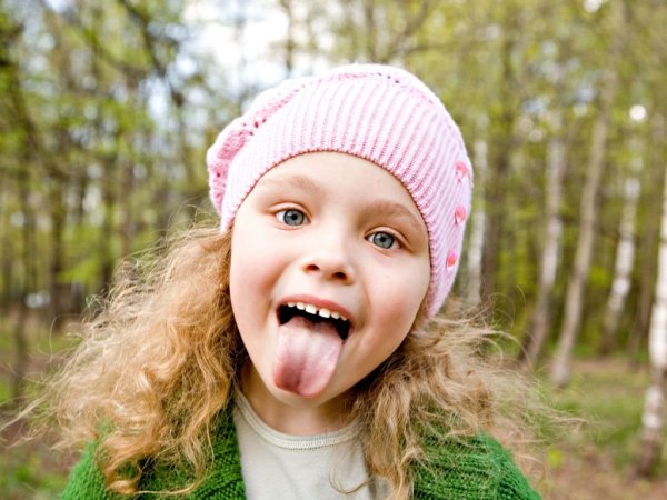 Собака на лужайке