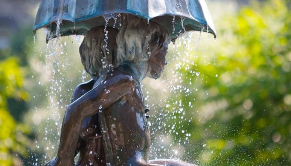 Природа дождь