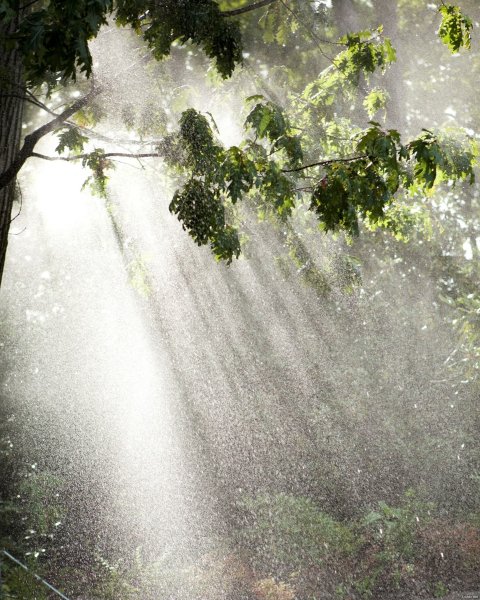 Летний дождик