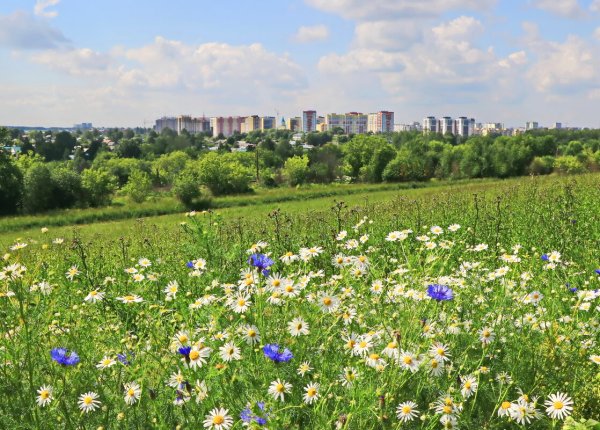 Лето 2022 Киров Кировская область