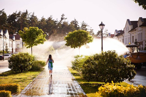 Лето город красота