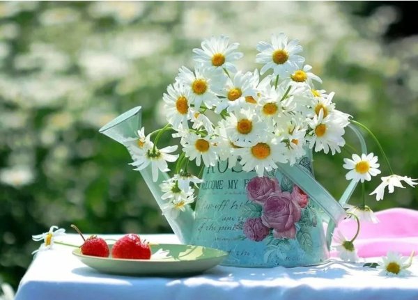 Радостного утра