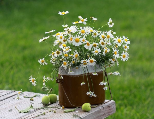 Открытки летнего настроения