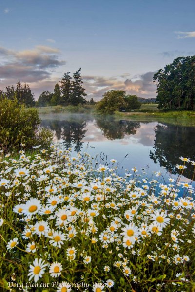 Летний пейзаж