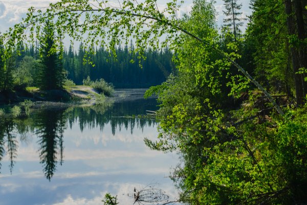 Саха сирэ айыл5а фон