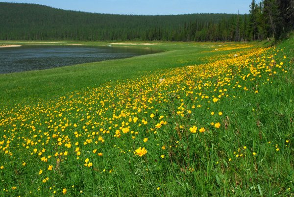 Природа Якутии Саха сирэ