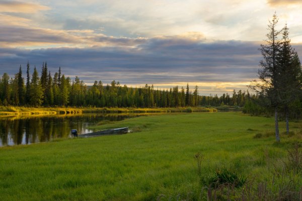 Редовския двоякоперистая Ленские столбы