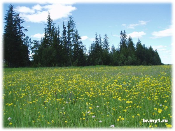 Алаас Якутск природа