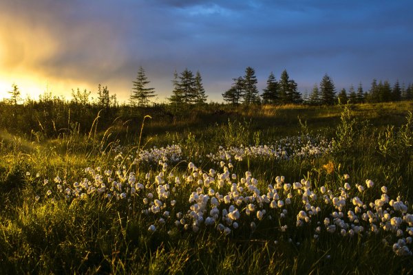 Верхоянский хребет Марина Галкина