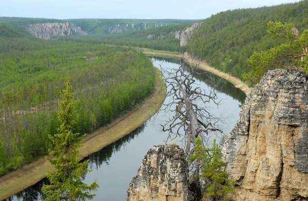 Лето в Якутии картинки