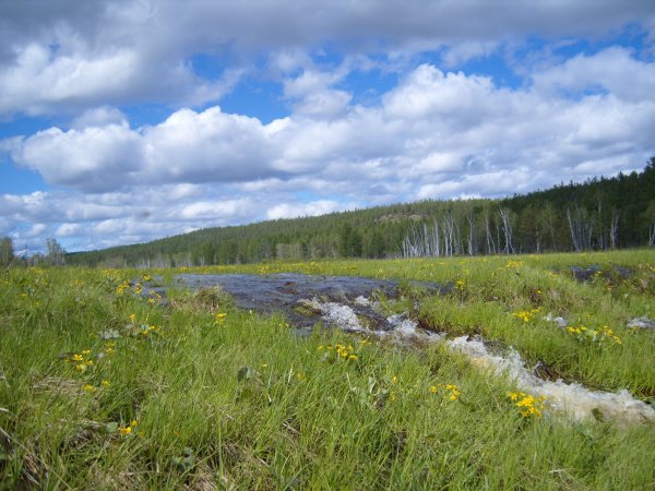 Якутия Алаас летом