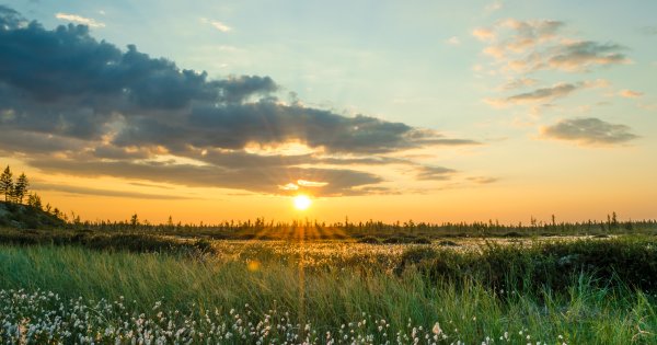 Природа Якутии лето