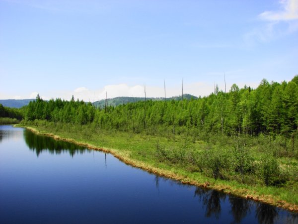 Саха Якутия лето