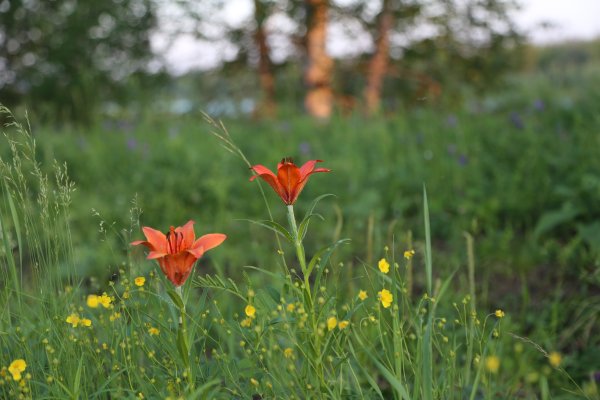 Олёкминский заповедник река Лена
