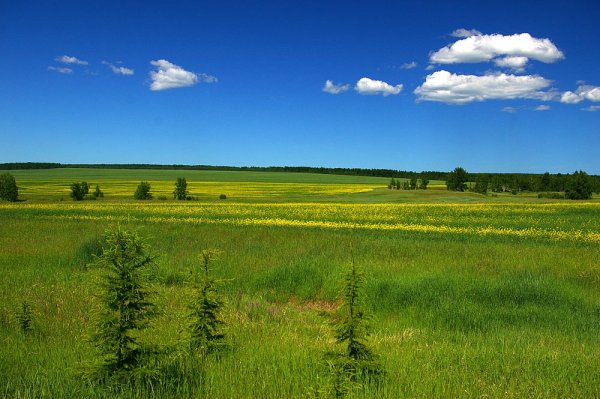 Река рябина Кольский