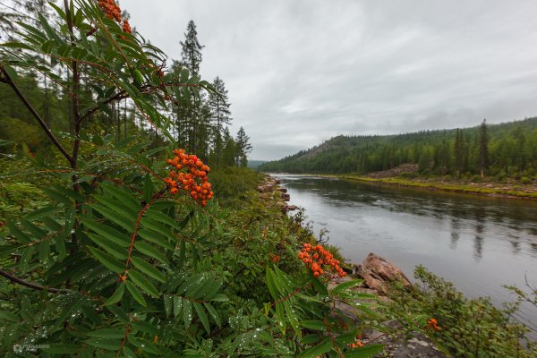 Природа России