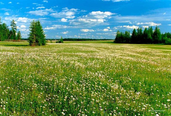 Республика Саха Якутия природа