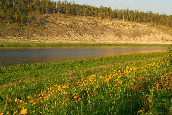 Река Толба Якутия