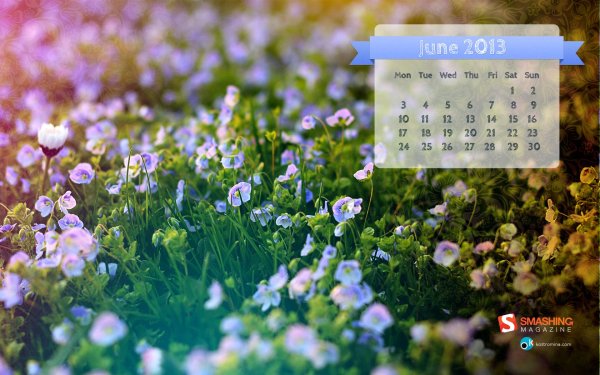 Картинки на рабочий стол июнь