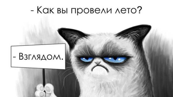 Провел лето взглядом