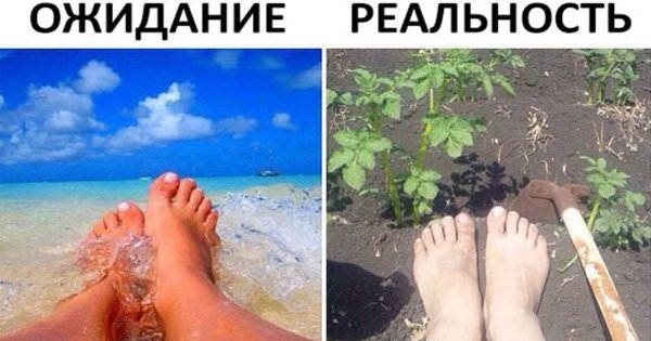Приколы про лето