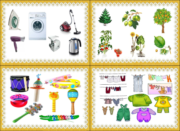 Растения летом для дошкольников