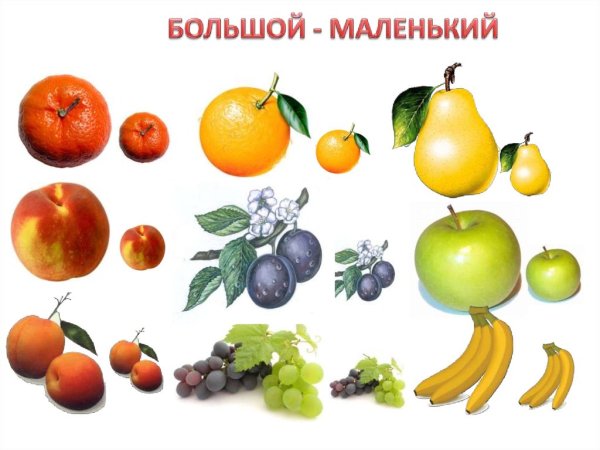 Фрукты для дошколят