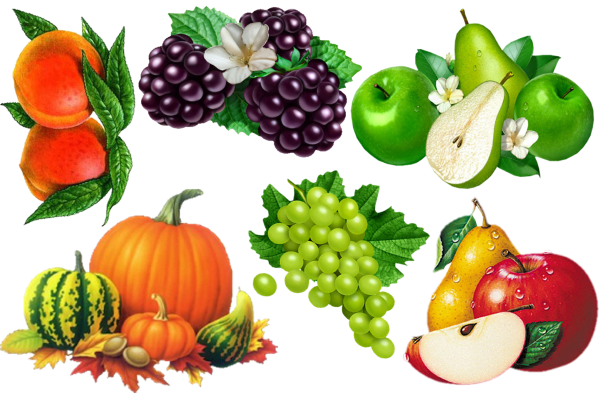 Овощи и фрукты для детей