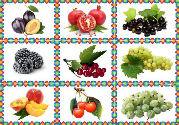 Фрукты и ягоды детям