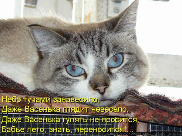 Открытки с добрым бабьим летом