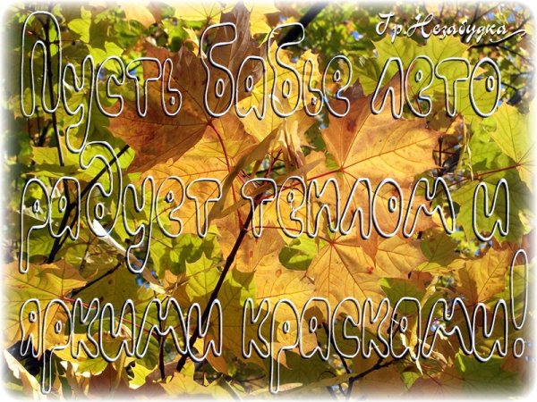 Приколы про Холодное лето