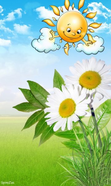 Солнышко лето