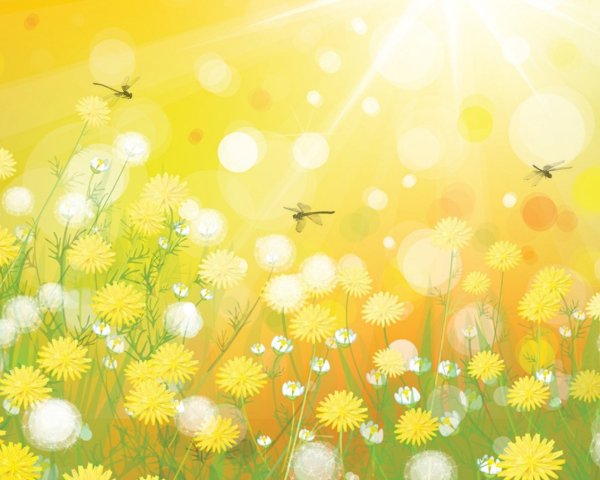 Фон для презентации лето в детском саду