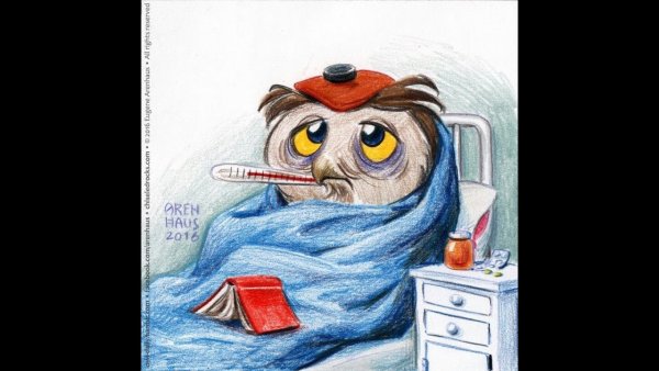 Крошка ши болеет