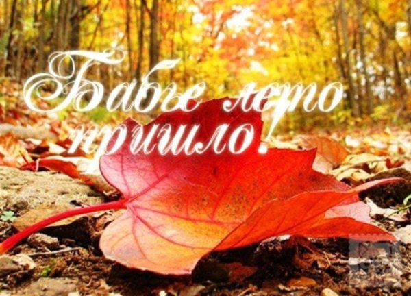 14 Сентября бабье лето