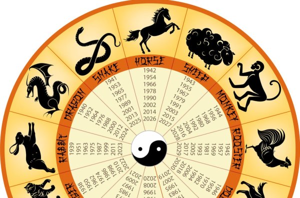 Знаки зодиака по годам 2022 год