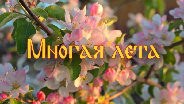 Многая лета поздравление
