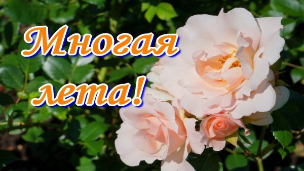 Многая и Благая лета