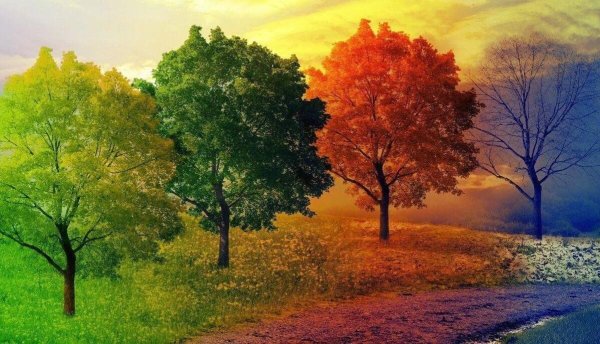 Пейзажи по временам года для дошкольников