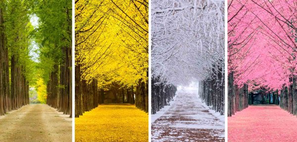 Пейзаж времена года