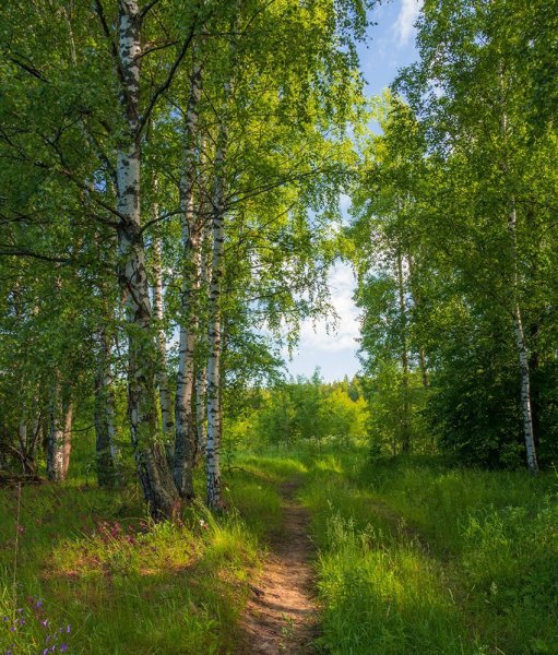 Природа Южного Урала Солнечная Поляна