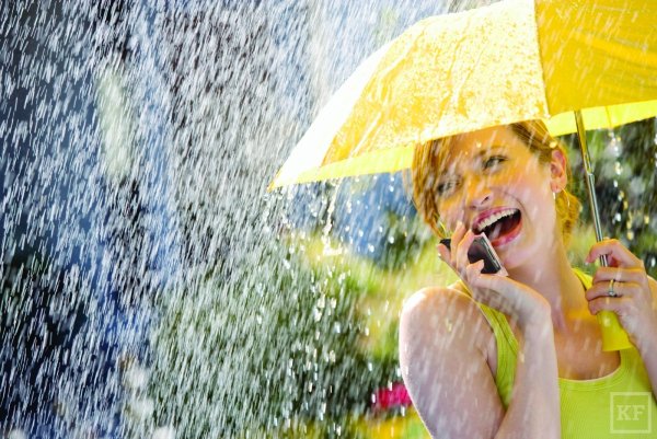 Подсолнух в солнечных очках