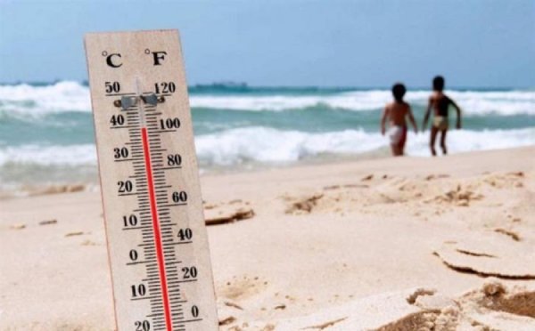 Высокая температура