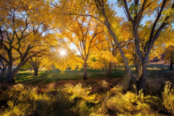 Солнечная осень