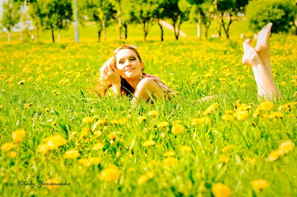 Рыжий кот в очках