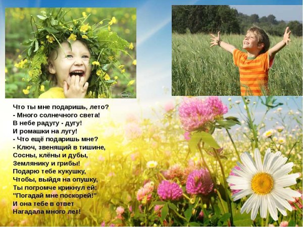 Стихи про лето
