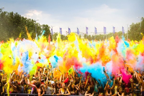 Поле одуванчиков