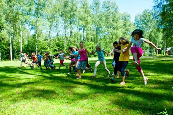 Летние впечатления