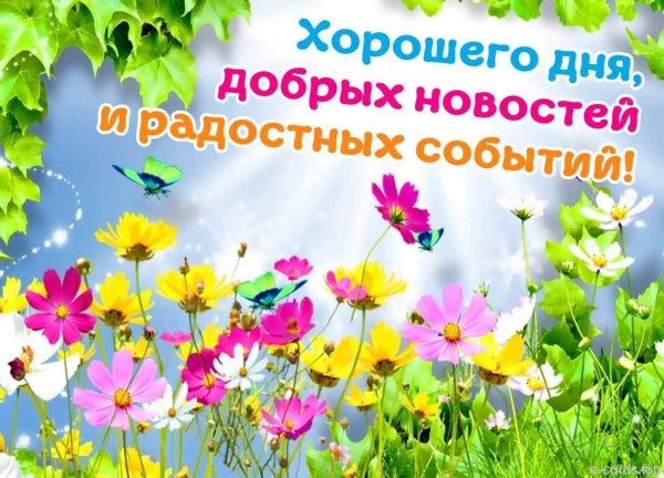 Летние мероприятия для детей